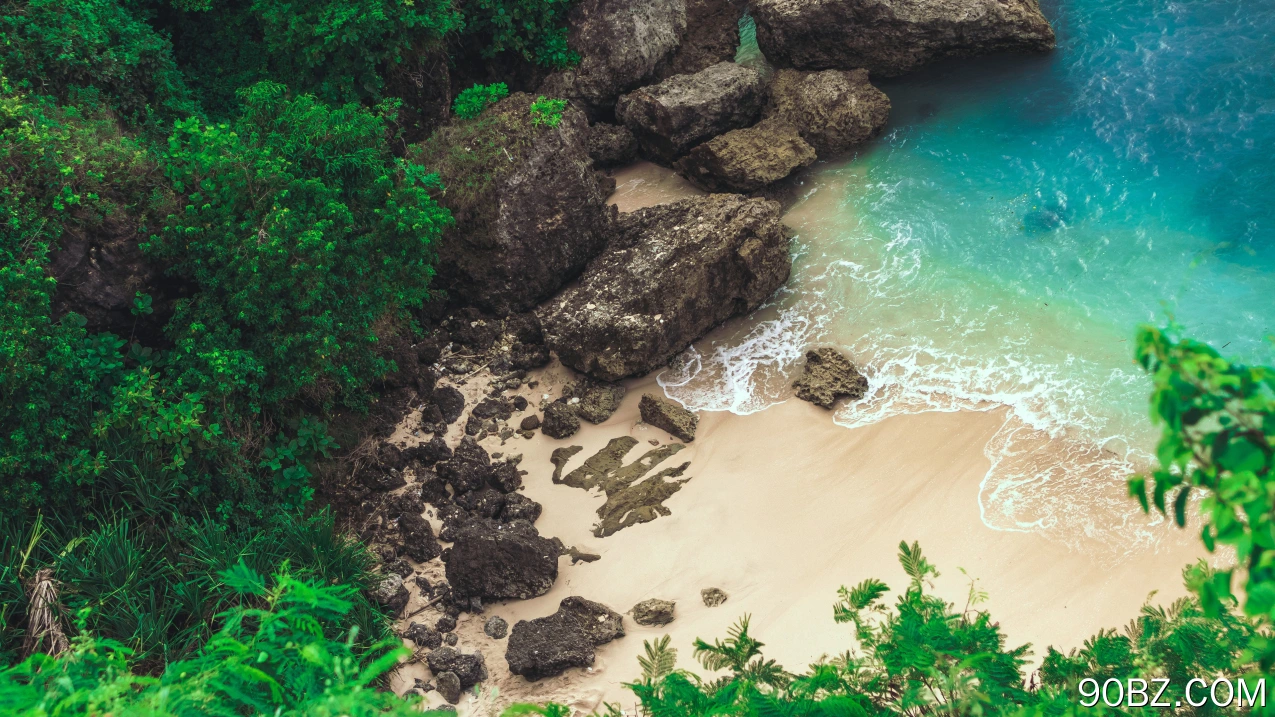 自然 植物 水 岩石 海滩 风景 俯视 波浪 沙子 电脑壁纸 4K壁纸