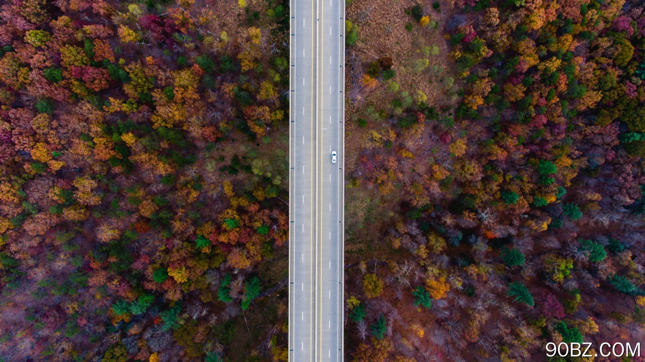 自然道路 树木 秋天 汽车 电脑壁纸 4K壁纸