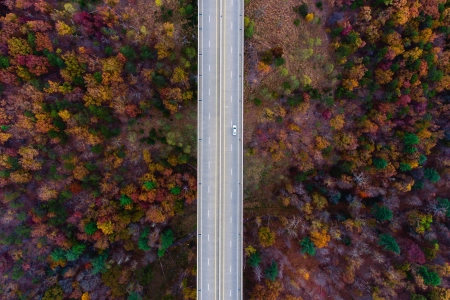 自然道路 树木 秋天 汽车 电脑壁纸 4K壁纸 3935x2210