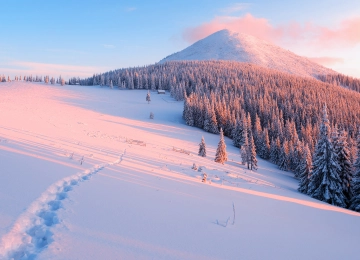 雪 冬天 寒冷 风景 森林  电脑壁纸 4K壁纸  3840x2160