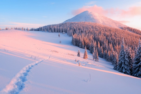 雪 冬天 寒冷 风景 森林  电脑壁纸 4K壁纸 3840x2160