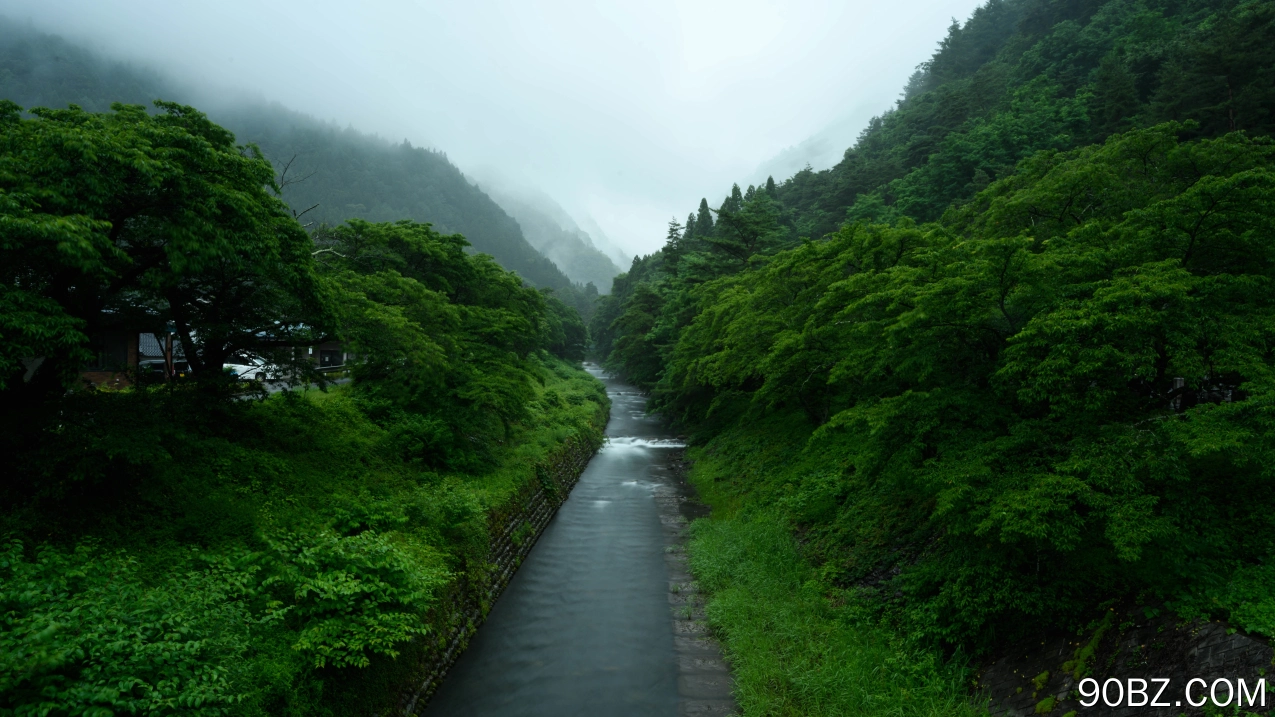 山川草木雾景图