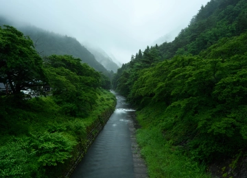 山川草木雾景图  5120x2880