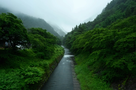 山川草木雾景图 5120x2880