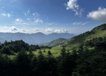 自然 山 云 树 电脑壁纸 4K壁纸  4032x3024