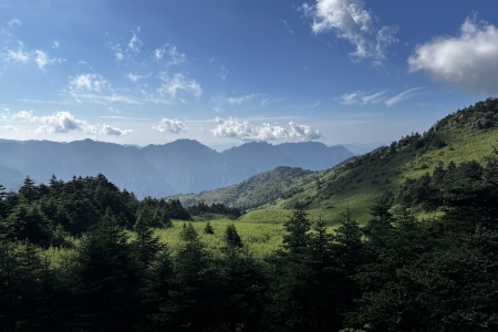自然 山 云 树 电脑壁纸 4K壁纸 4032x3024
