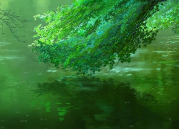 新海诚 植物 动画 水 自然 户外 倒影 花园 绿色 4K壁纸  3840x2160