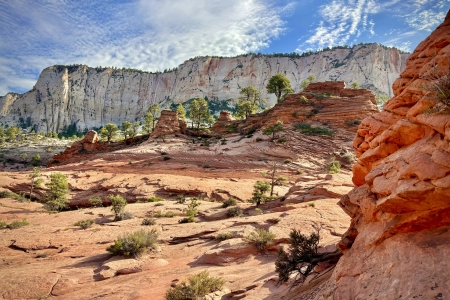 云 岩石 自然 树木 灌木 悬崖 景观 4K壁纸 5712x4284