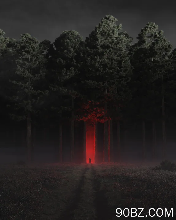 数字森林夜光