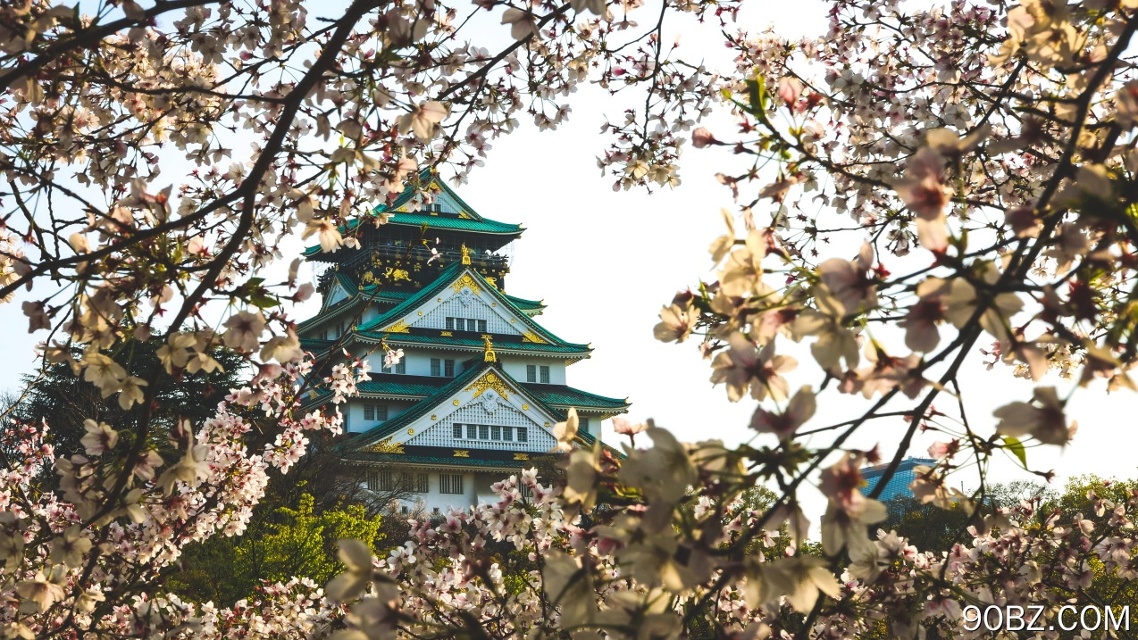 城市 建筑 景点 自然 风景 樱花 电脑壁纸 4K壁纸