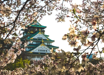 城市 建筑 景点 自然 风景 樱花 电脑壁纸 4K壁纸  4529x2548