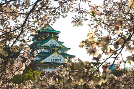 城市 建筑 景点 自然 风景 樱花 电脑壁纸 4K壁纸 4529x2548