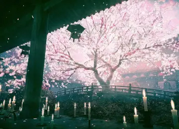 寺庙 樱花 禅宗花园 蜡烛  4K壁纸  3840x2160