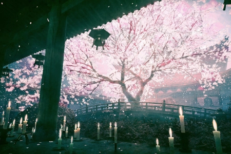 寺庙 樱花 禅宗花园 蜡烛  4K壁纸 3840x2160