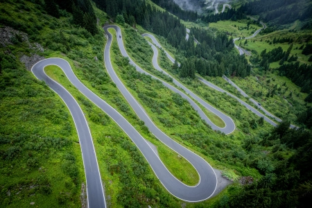 道路 森林 树木 绿色 山脉 自然 风景 丘陵 草地 户外  4K壁纸 5464x3640