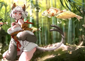 凯特-福 猫女孩 红眼睛 白头发 猫耳朵 鱼 锦鲤 鲤鱼 尾巴 爪子 电脑壁纸 4K壁纸  4496x2528