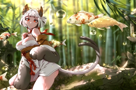 凯特-福 猫女孩 红眼睛 白头发 猫耳朵 鱼 锦鲤 鲤鱼 尾巴 爪子 电脑壁纸 4K壁纸 4496x2528