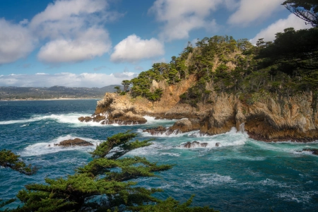 风景 海岸 悬崖 海 森林 柏树 云 自然 电脑壁纸 4K壁纸 4800x3600