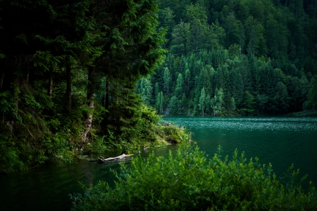 罗马尼亚森林湖泊夏日静谧绿意 6000x4000