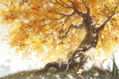 原神 动漫 女孩 树下 金色 大树 书 读书 看书 4K壁纸 4259x2478