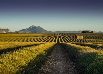 农田 建筑 山脉 自然 风景 晴朗 天空 道路 田野  电脑壁纸 4K壁纸  3840x2160