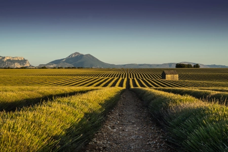 农田 建筑 山脉 自然 风景 晴朗 天空 道路 田野  电脑壁纸 4K壁纸 3840x2160
