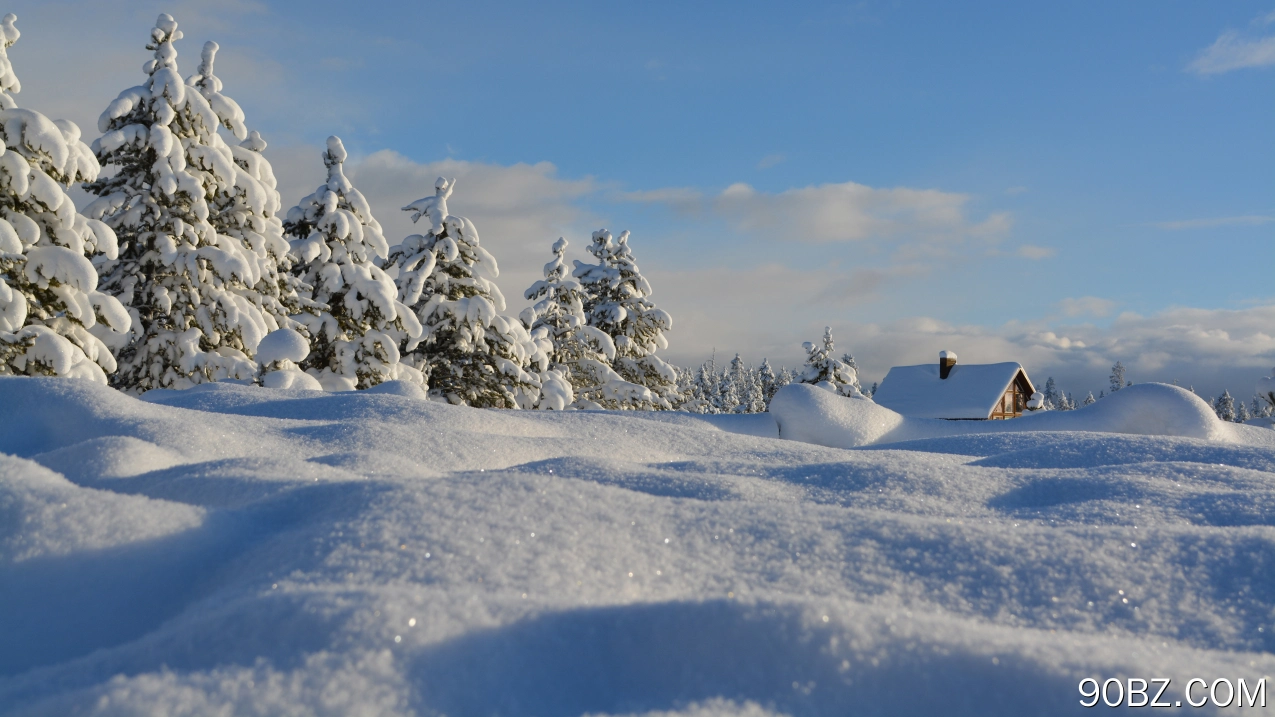 雪 白雪 松树 木屋 冬天 白色 寒冷 风景 电脑壁纸 4K壁纸