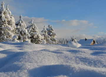 雪 白雪 松树 木屋 冬天 白色 寒冷 风景 电脑壁纸 4K壁纸  3840x2160