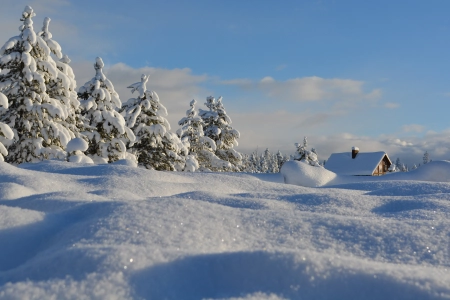 雪 白雪 松树 木屋 冬天 白色 寒冷 风景 电脑壁纸 4K壁纸 3840x2160