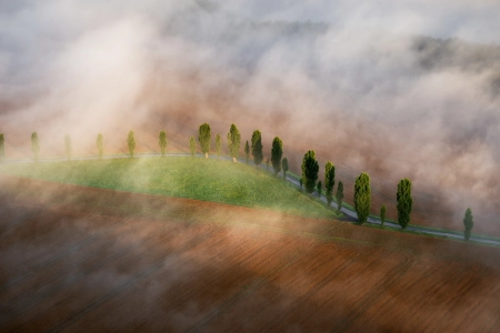 薄雾 风景 田野 户外 树木 治愈 电脑壁纸 4K壁纸 3840x2160