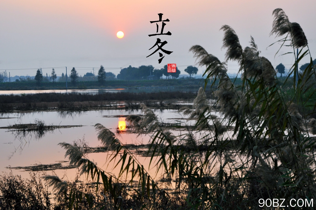 自然 风景 太阳 寒冷 立冬 湖 湖水 芦苇 电脑壁纸 4K壁纸