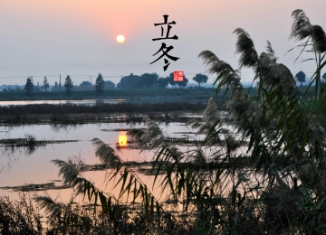 自然 风景 太阳 寒冷 立冬 湖 湖水 芦苇 电脑壁纸 4K壁纸  3948x2621