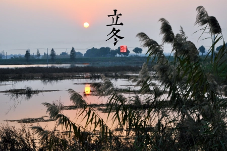 自然 风景 太阳 寒冷 立冬 湖 湖水 芦苇 电脑壁纸 4K壁纸 3948x2621