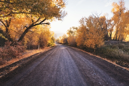 公路旅行,运输,街,土路,性质,壁纸,3840x2160 3840x2160