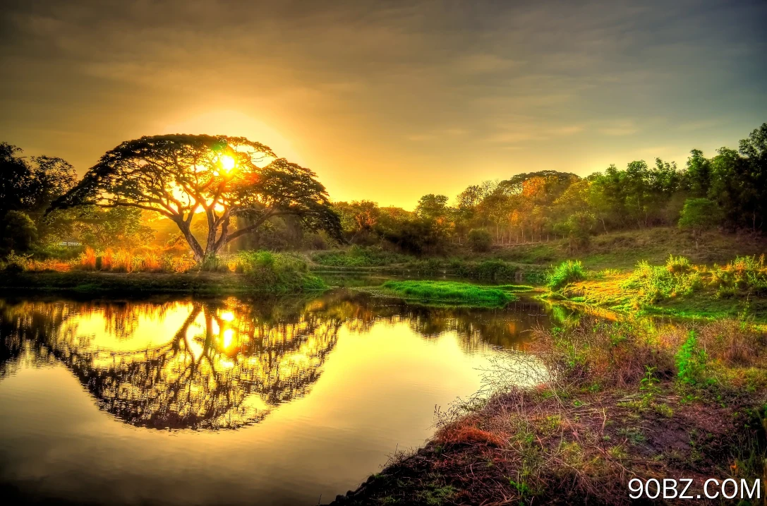 自然 风景 树木 日落 阳光 植物 水 天空  电脑壁纸 4K壁纸