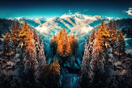 冬天 森林 雪 自然 风景 山 树 雪峰  电脑壁纸 4K壁纸 6240x3744