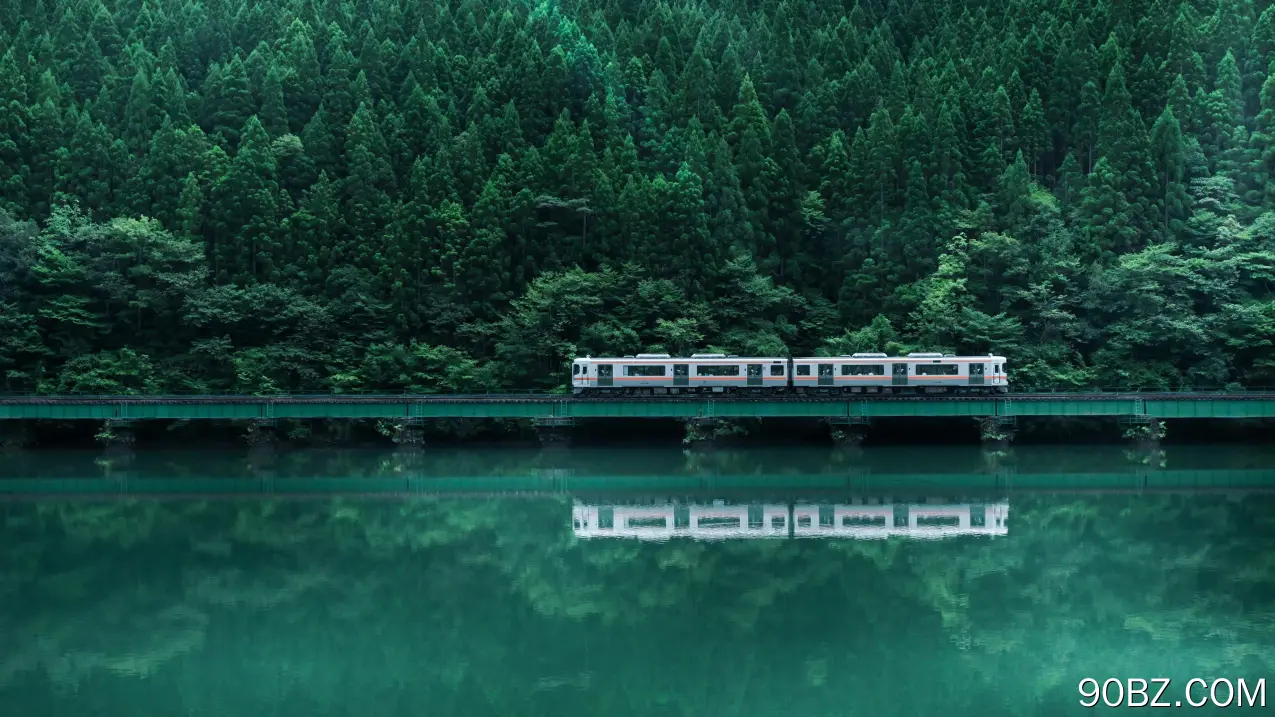 高山森林桥景