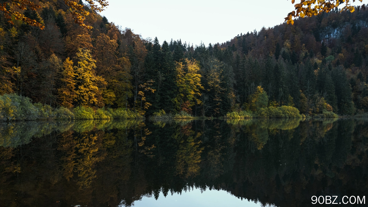 自然 景观 树木 森林 植物 水 湖泊 倒影 天空 秋天 4K壁纸