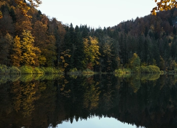 自然 景观 树木 森林 植物 水 湖泊 倒影 天空 秋天 4K壁纸  5120x2880