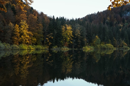 自然 景观 树木 森林 植物 水 湖泊 倒影 天空 秋天 4K壁纸 5120x2880