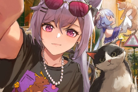 动漫 动漫女孩 猫  电脑壁纸 4K壁纸 4047x3062
