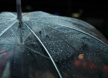 黑 夜 雨 波克 雨伞 电脑壁纸 4K壁纸  4896x3264