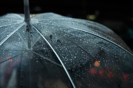 黑 夜 雨 波克 雨伞 电脑壁纸 4K壁纸 4896x3264