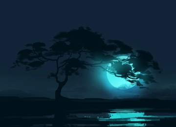  树木 风景 夜晚 月亮 月光 反射 极简主义 空间 稀树草原  电脑壁纸 4K壁纸  5640x2400