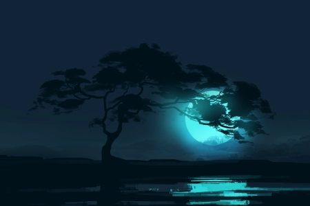  树木 风景 夜晚 月亮 月光 反射 极简主义 空间 稀树草原  电脑壁纸 4K壁纸 5640x2400