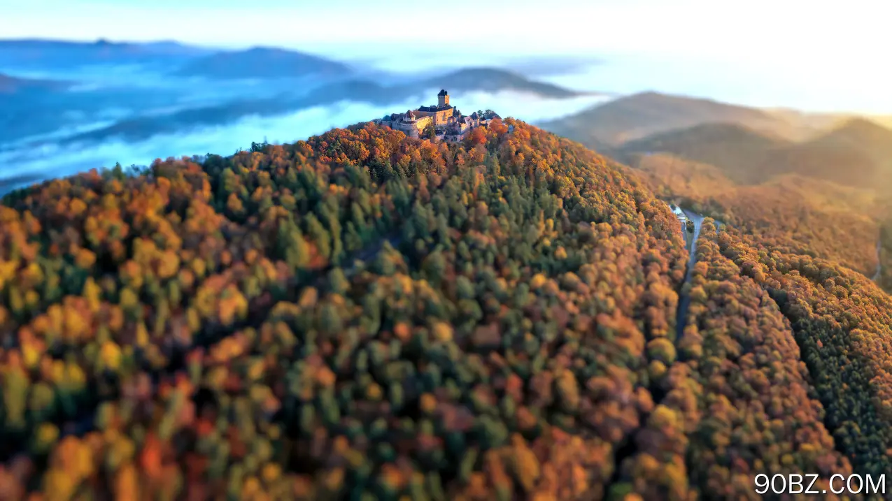 森林 秋天 自然 城堡 风景 散景 景深 阳光  电脑壁纸 4K壁纸