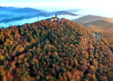 森林 秋天 自然 城堡 风景 散景 景深 阳光  电脑壁纸 4K壁纸  3840x2160