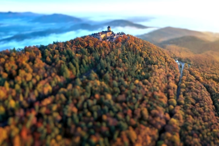 森林 秋天 自然 城堡 风景 散景 景深 阳光  电脑壁纸 4K壁纸 3840x2160