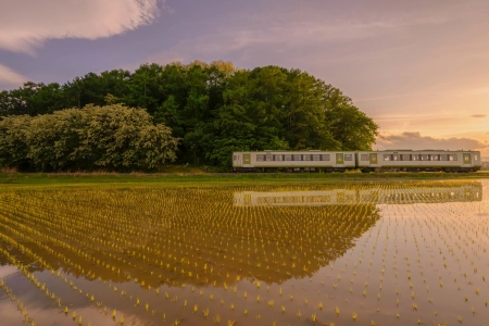 自然 风景 树木 云朵 天空 稻田 水面 铁路 火车 阳光 倒影 4K壁纸 3840x2160