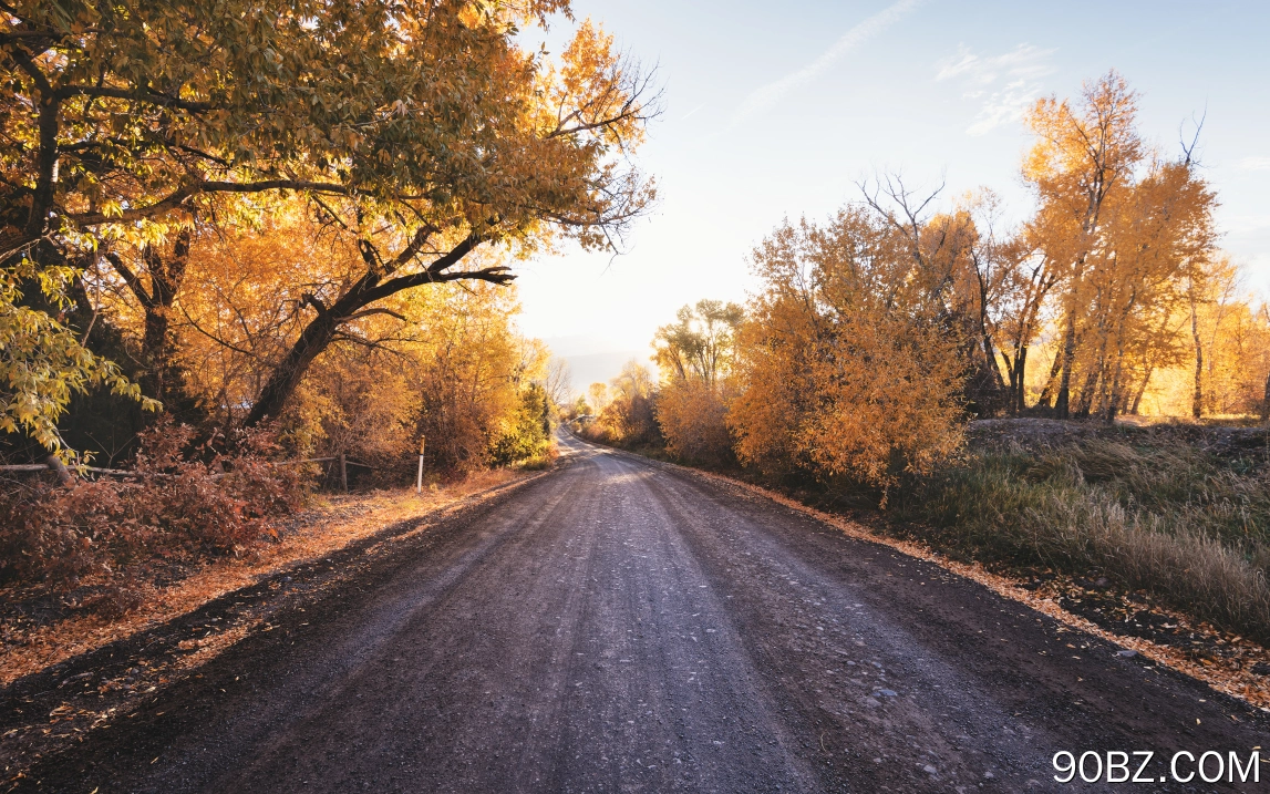 公路旅行,运输,街,土路,性质,壁纸,3840x2400